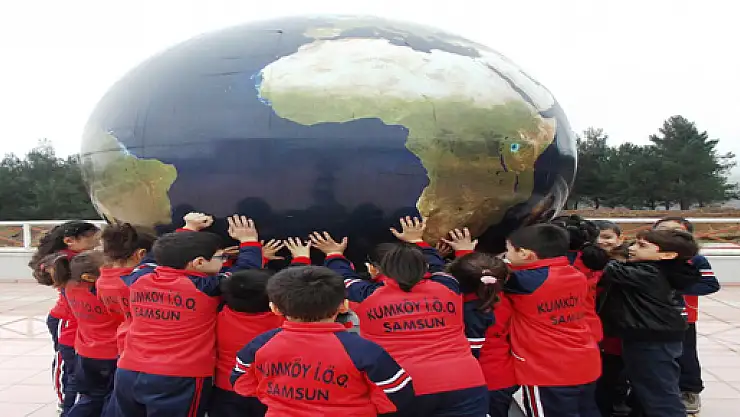 Çalıkuşu durmak bilmiyor