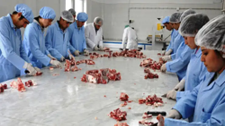 Hayvansal ürün işleyen işletmelere 'ONAY' uyarısı