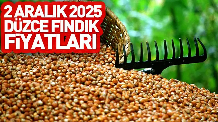 2 Aralık 2025 Düzce Fındık Fiyatları