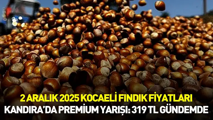 2 Aralık 2025 Kocaeli Fındık Fiyatları | Kandıra'da Premium Yarışı: 319 TL Gündemde