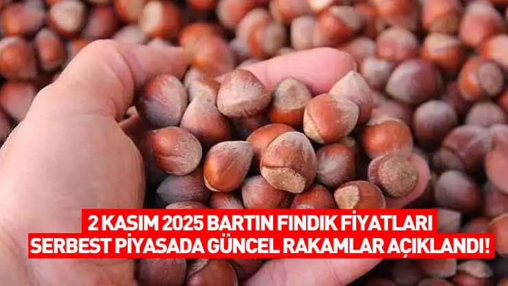 2 Kasım 2025 Bartın Fındık Fiyatları: Serbest Piyasada Güncel Rakamlar Açıklandı!