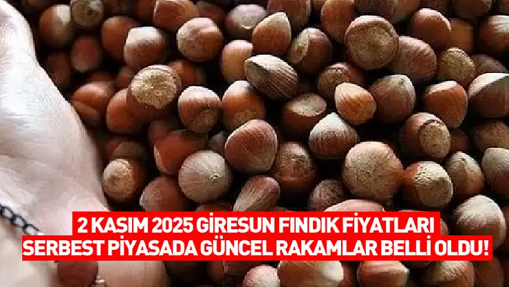 2 Kasım 2025 Giresun Fındık Fiyatları: Serbest Piyasada Güncel Rakamlar Belli Oldu!