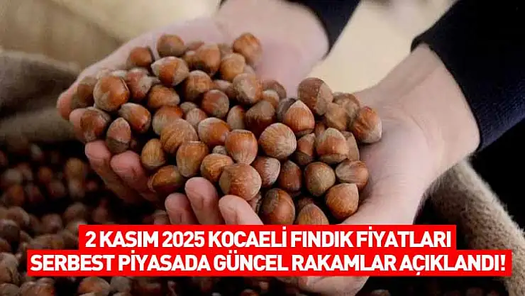 2 Kasım 2025 Kocaeli Fındık Fiyatları: Serbest Piyasada Güncel Rakamlar Açıklandı!