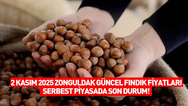 2 Kasım 2025 Zonguldak Güncel Fındık Fiyatları: Serbest Piyasada Son Durum!