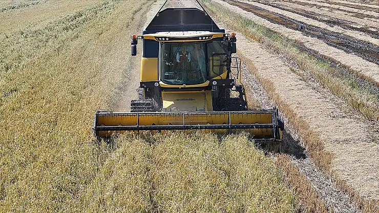 2025 yılında Çeltikte 988 bin ton rekolte bekleniyor