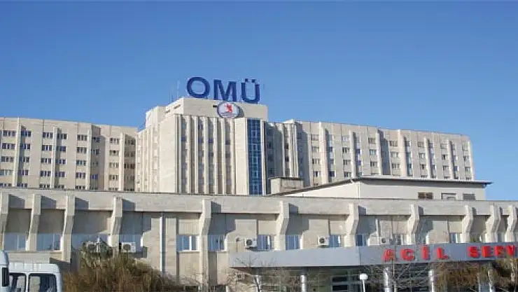 NETSİS İş yaşamına hazırlanıyor