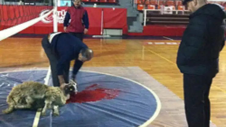  Salonda Kurban Kesmeye Soruşturma