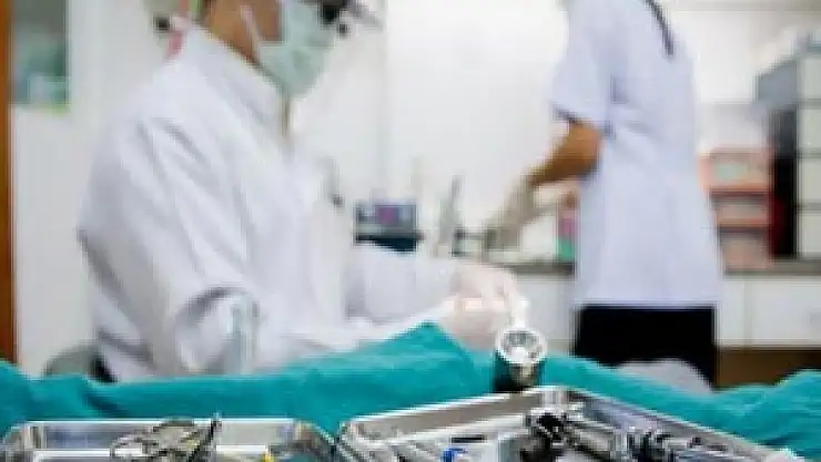 Böbrek Vakfı Başkanı'ndan korkutan açıklama