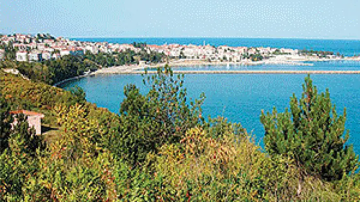 Balık Depolarımız, Kömür Tehdidi Altında