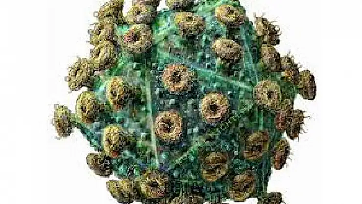 AIDS tedavisinde bir ilk