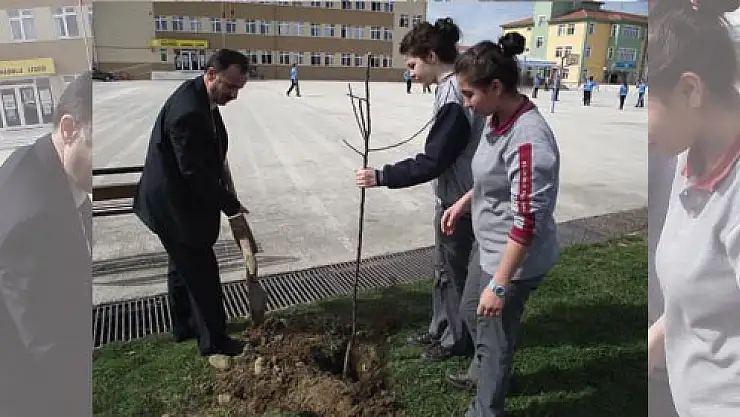 Okullar ağaçlandırılıyor