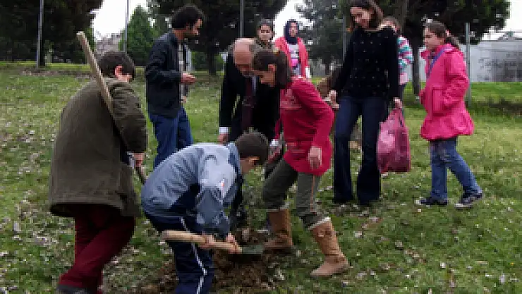 Samsun'a Zeytin Fidanı Dikildi