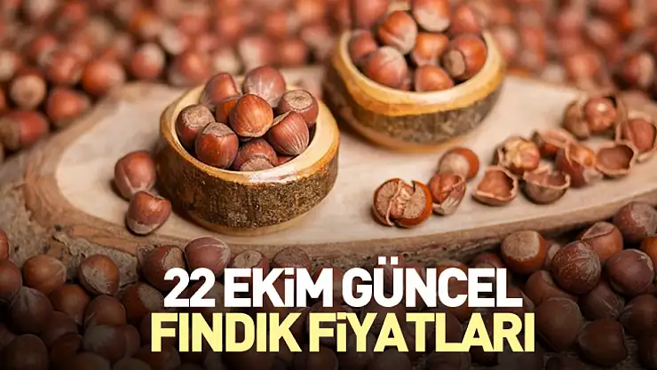 22 Ekim Güncel Fındık Fiyatları