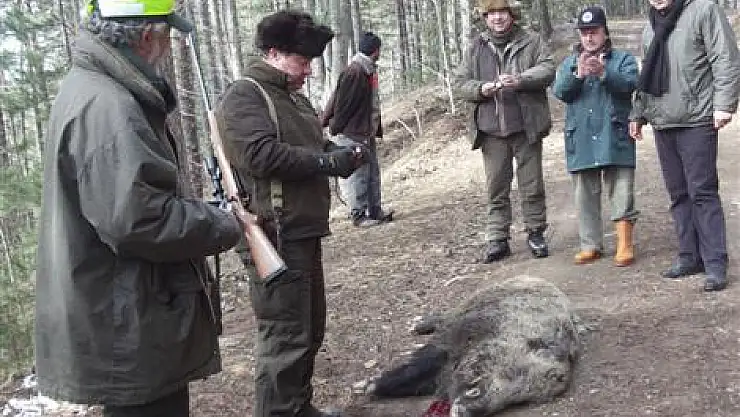 İspanyollar domuz avında