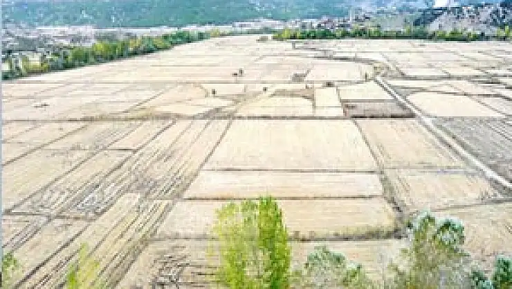  Küçük tarım arazileri olanlar dikkat