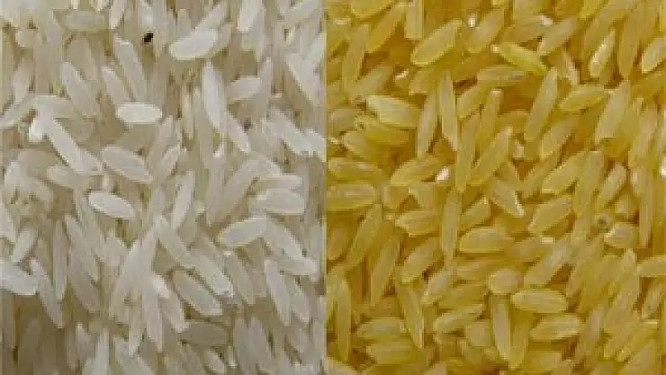 GDO'dan kaçış yok