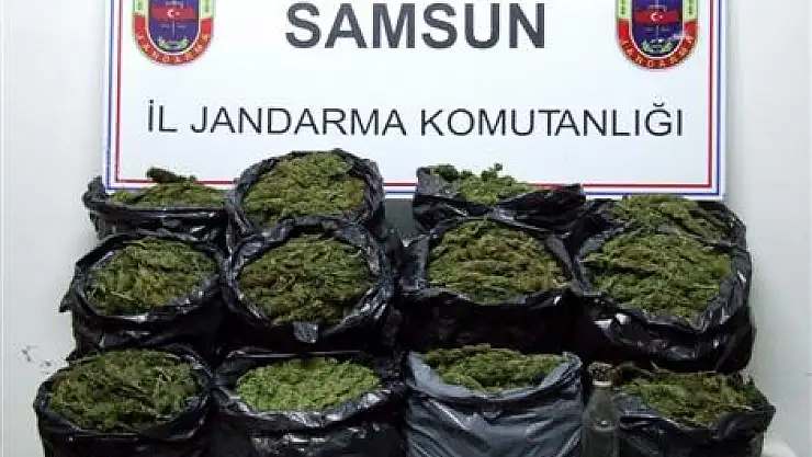 Jandarma 2010 yılında 169 kaçakçılık olayını ortaya çıkardı
