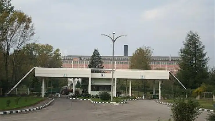 'Altın yumurtlayan tavuk kurtuldu!'