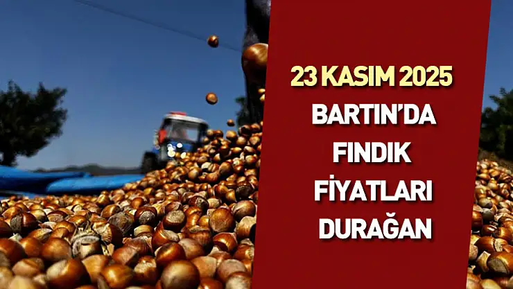 23 Kasım 2025 : Bartın'da fındık fiyatları durağan