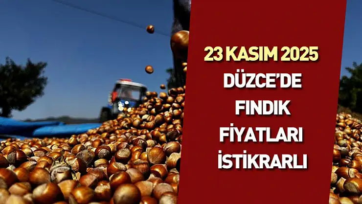 23 Kasım 2025 : Düzce'de fındık fiyatları istikrarlı: Pazarda sakin hava hâkim
