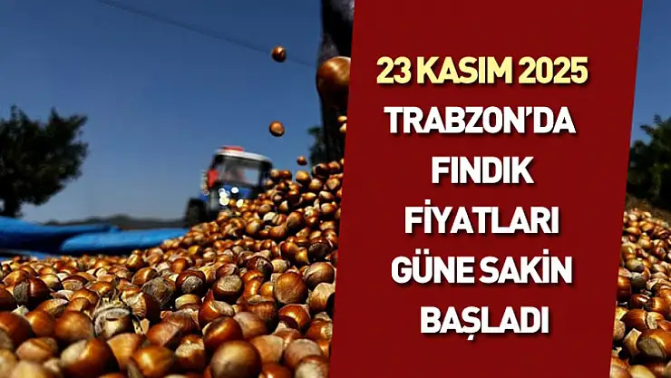 23 Kasım 2025 : Trabzon'da fındık fiyatları güne sakin başladı