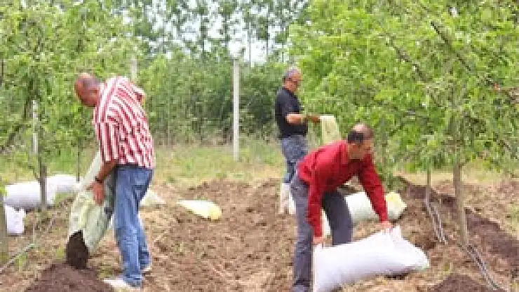  Fındık Zurufundan Gübre