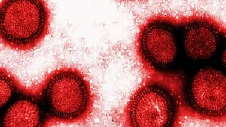 Dünya Sağlık Örgütü'nden virüs uyarısı