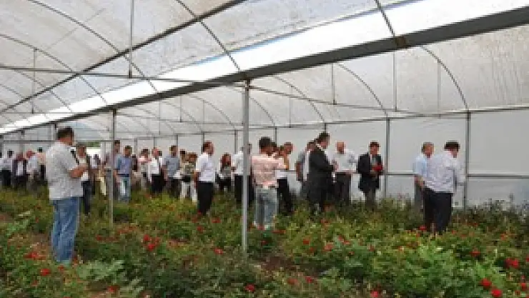 Kesme Çiçek Yetiştiriciliği Tarla Günü 