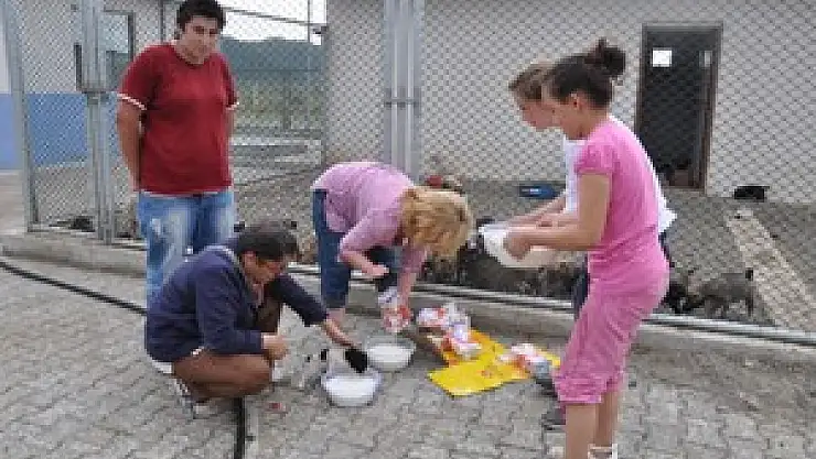 Hayvan Severler Barınağı Gezdi