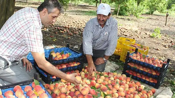 İLK ÜRÜN TAT VERMEDİ