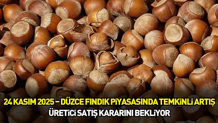 24 Kasım 2025 – Düzce Fındık Piyasasında Temkinli Artış: Üretici Satış Kararını Bekliyor