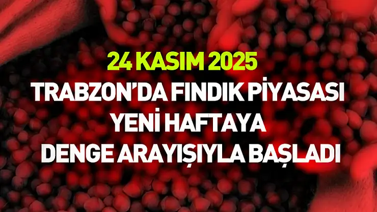 24 Kasım 2025 – Trabzon'da Fındık Piyasası Yeni Haftaya Denge Arayışıyla Başladı