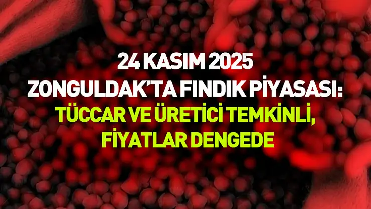 24 Kasım 2025 – Zonguldak'ta Fındık Piyasası: Tüccar ve Üretici Temkinli, Fiyatlar Dengede