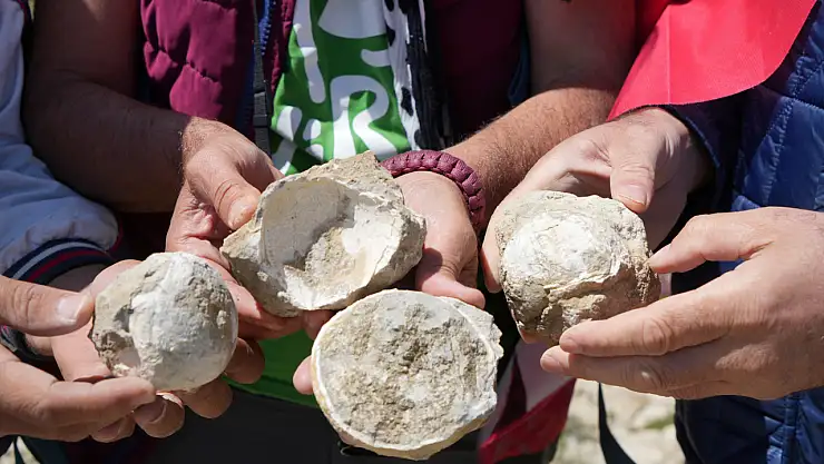 240 milyon yıllık midye fosili bulundu