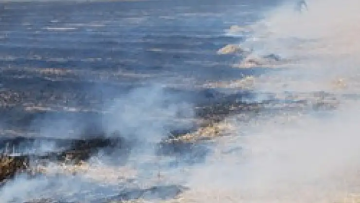 Kontrollü Anız Yakılmasına İzin Verilecek