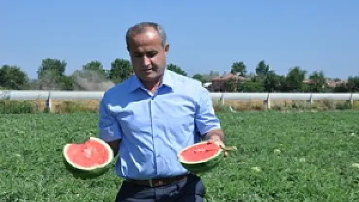 Kara Karpuz, Üreticinin Yüzünü Ak Etti