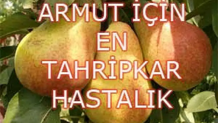 ARMUT İÇİN EN TAHRİPKAR HASTALIK
