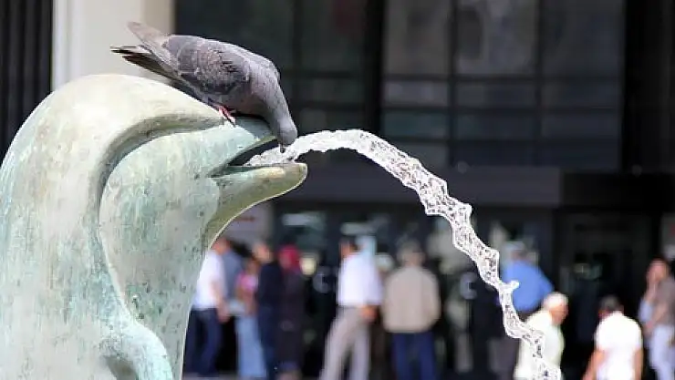  SICAK HAVA HAYVANLARI DA ETKİLİYOR