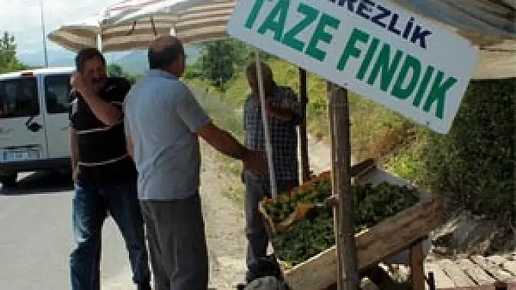 Sezonun İlk Fındığı Tezgahta Yerini Aldı