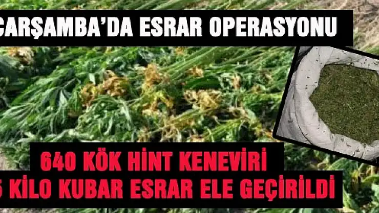 ÇARŞAMBA'DA ESRAR OPERASYONU