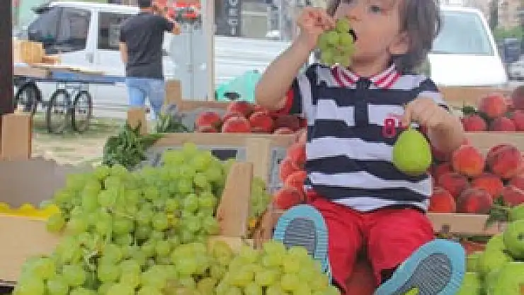 ÇOCUK BESLENMESİNDE MEYVE VE SEBZE TÜKETİMİNİN ÖNEMİ