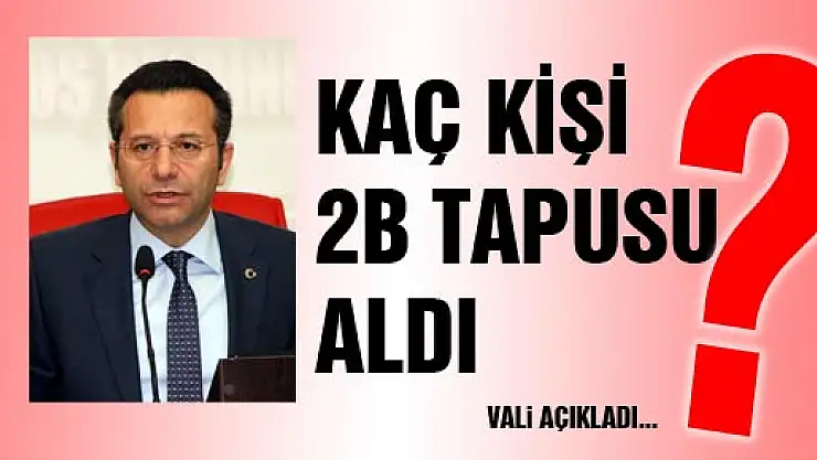 Samsun'da Bin 300 Kişi 2B Tapu Arazisi Aldı