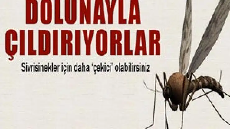 Sivrisinekler insanları neden seçer?