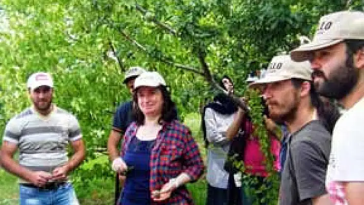 Öğrenciler Meyveleri Yerinde İnceledi