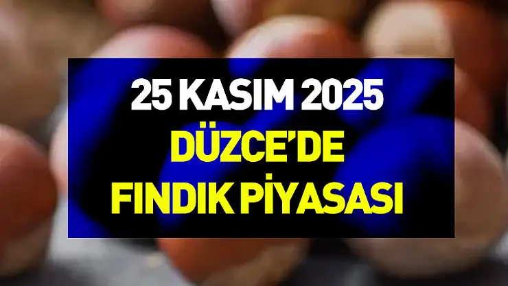25 Kasım 2025 Düzce'de Fındık Piyasası | Üretici Beklemede
