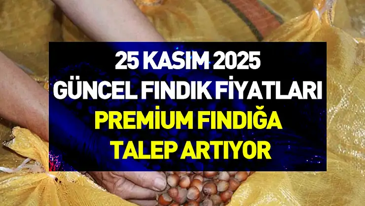 25 Kasım 2025 Güncel Fındık Fiyatları | Premium Fındığa Talep Artıyor