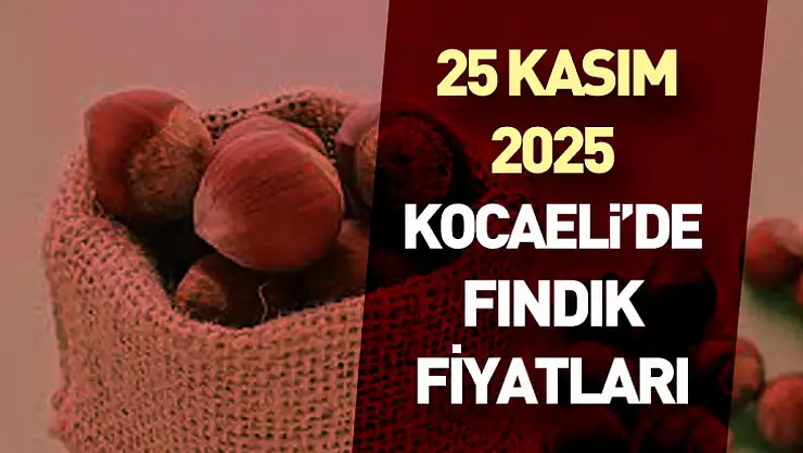 25 Kasım 2025 Kocaeli'deFındık Fiyatları : Durağan Fakat Güçlü Piyasa