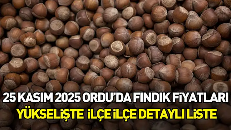 25 Kasım 2025 Ordu'da Fındık Fiyatları Yükselişte | İlçe İlçe Detaylı Liste