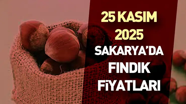 25 Kasım 2025 Sakarya'da Fındık Fiyatları : Temkinli Artış Devam Ediyor
