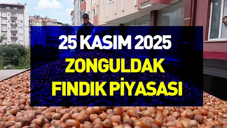 25 Kasım 2025 Zonguldak Fındık Piyasası | Dar Bant Hareketi Sürüyor